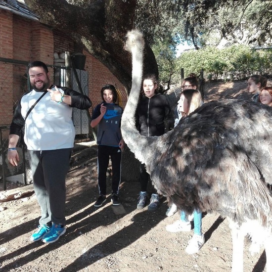 Mohernando 2017_3 35