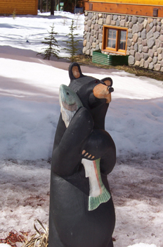 Oso, Baker Creek Chalets, Parque Nacional Banff