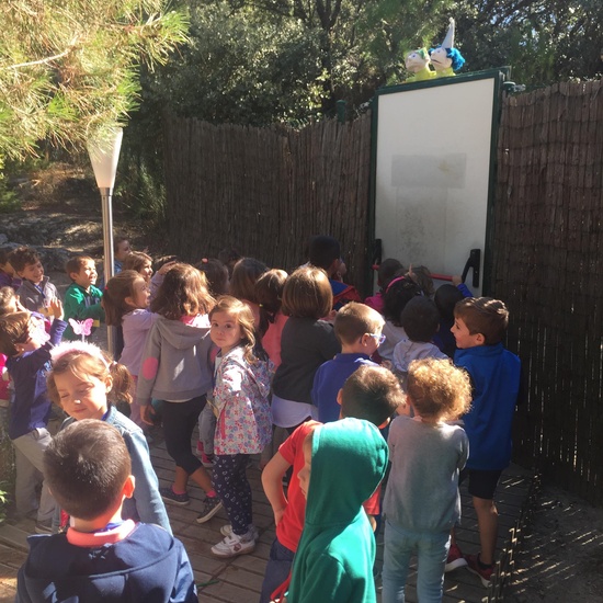 Salida al bosque encantado 4