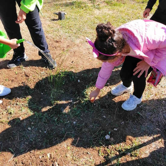 Salida Bosque Sur.3º de Primaria. Octubre 2019 4