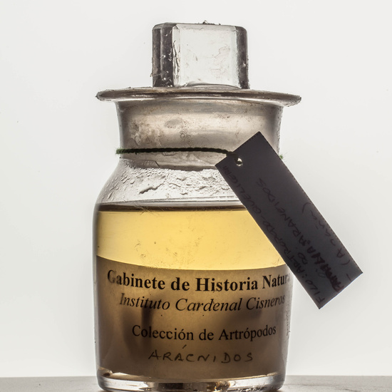 IES_CARDENALCISNEROS_CIENCIASNATURALES_090