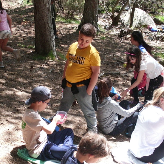 NIÑAS/OS DE 5º. NATURALEZA VIVA EN LA PEDRIZA. HOSTOS POR EL PLANETA 16