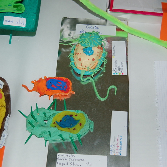 CONCURSO CELULAR 1º ESO 11