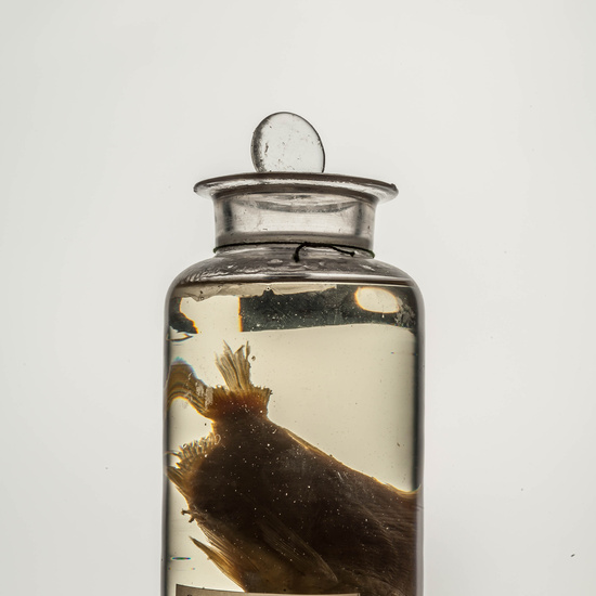 IES_CARDENALCISNEROS_CIENCIASNATURALES_130