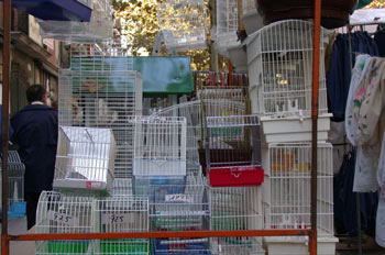 Tienda de jaulas
