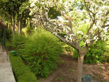 Huerto de Calixto y Melibea, Salamanca, Castilla y León
