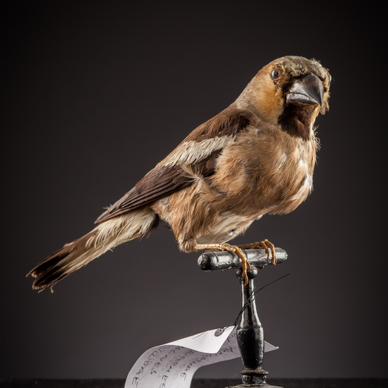 IES_SANISIDRO_BIOLOGIA_420