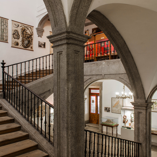 IES_SANISIDRO_MUSEO_019