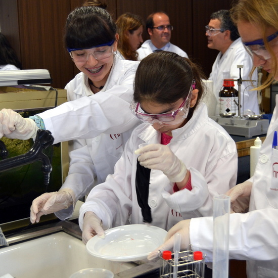 Proyecto de Aprendizaje y Servicio  9