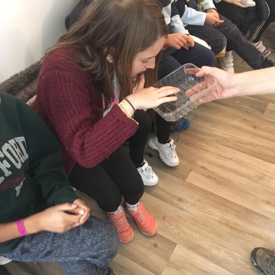 2020_02_27_3º visita Insectpark (2)_CEIP FDLR_Las Rozas 10