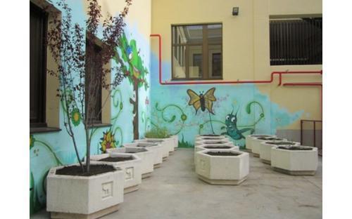 Huerto CEIP Fernando el Católico 1