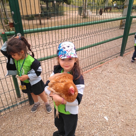 Infantil 3 años en la granja_CEIP Fernando de los Ríos_Las Rozas_2017-2018 20