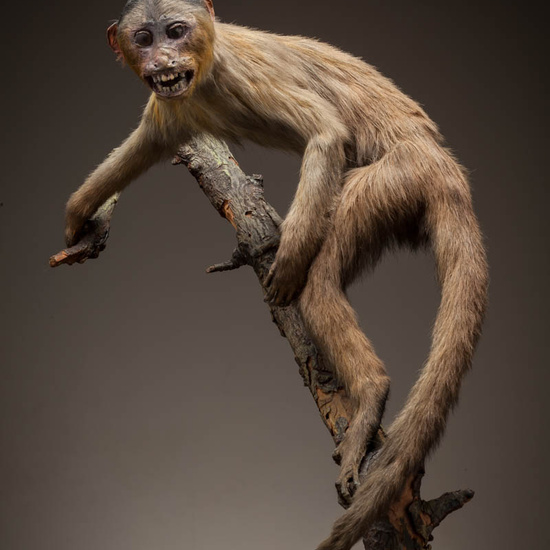 IES_ISABELLACATOLICA_BIOLOGIA_244