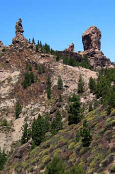 Roque Nublo