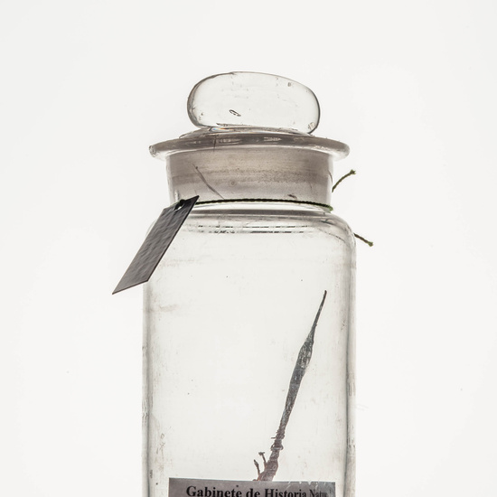 IES_CARDENALCISNEROS_CIENCIASNATURALES_070