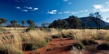 Parque nacional Uluru-Kata Tjuta, Australia