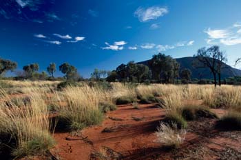 Parque nacional Uluru-Kata Tjuta, Australia