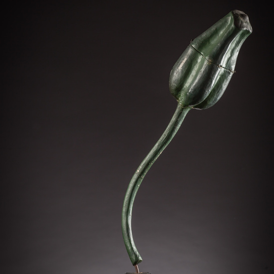 IES_ISABELLACATOLICA_BIOLOGIA_125