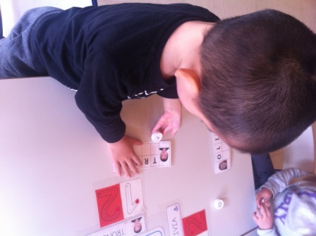 Los pulpos y sus nombres 1 13