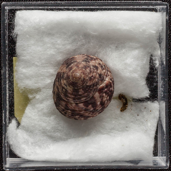 IES_ISABELLACATOLICA_BIOLOGIA_322