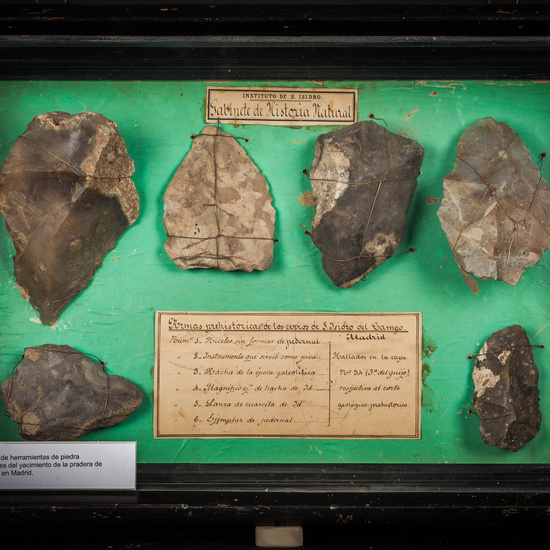 IES_SANISIDRO_MUSEO_Prehistoria_001