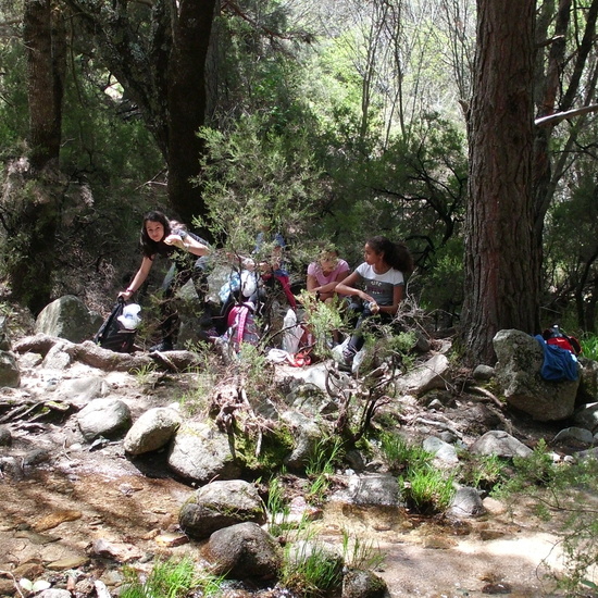 NIÑAS/OS DE 5º . NATURALEZA VIVA EN LA PEDRIZA.HOSTOS POR EL PLANETA 11