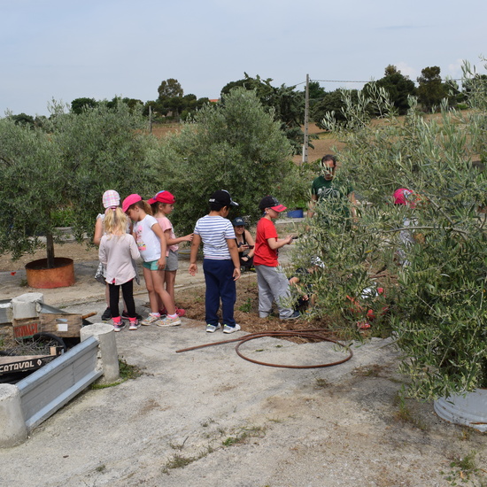 Siembra Huerta Balta 5 años 2018 45