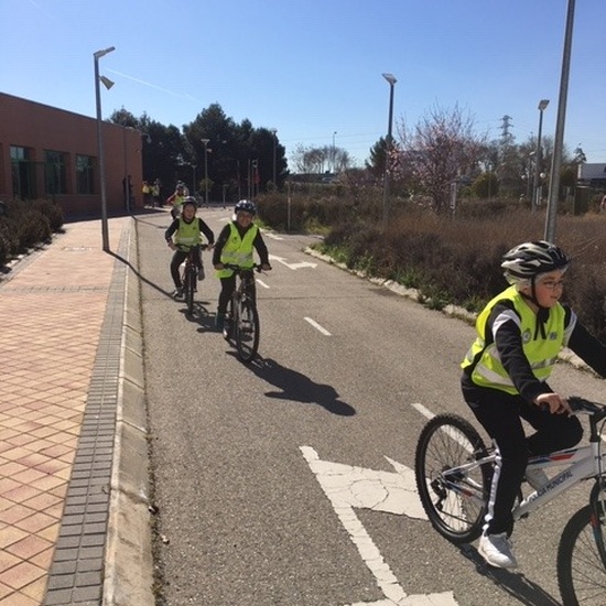 EDUCACIÓN VIAL. 6º 15
