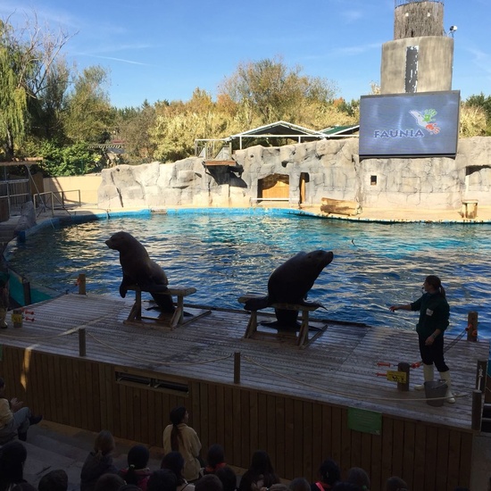 Faunia: taller y visita guiada 13