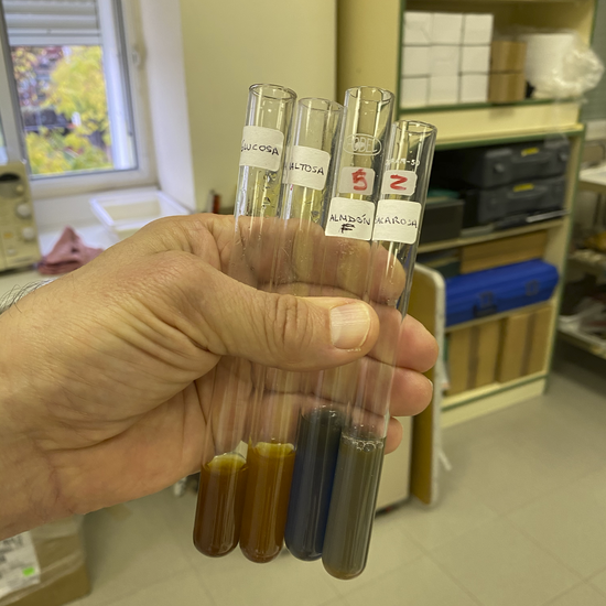 fehling de glucosa-maltosa-almidón y sacarosa