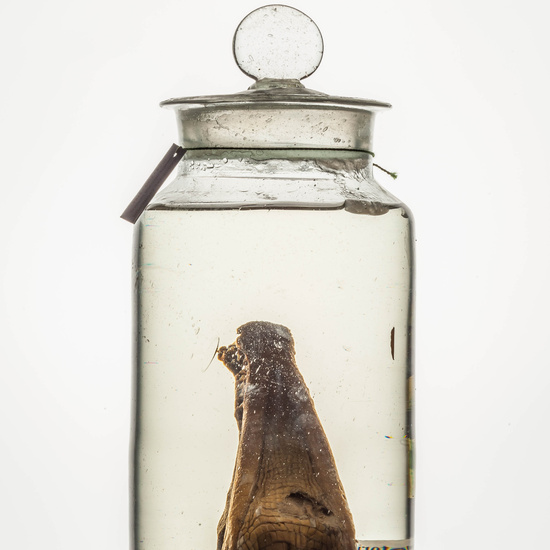 IES_CARDENALCISNEROS_CIENCIASNATURALES_286