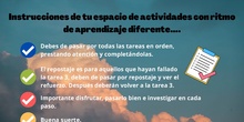 Instrucciones T5 Canva