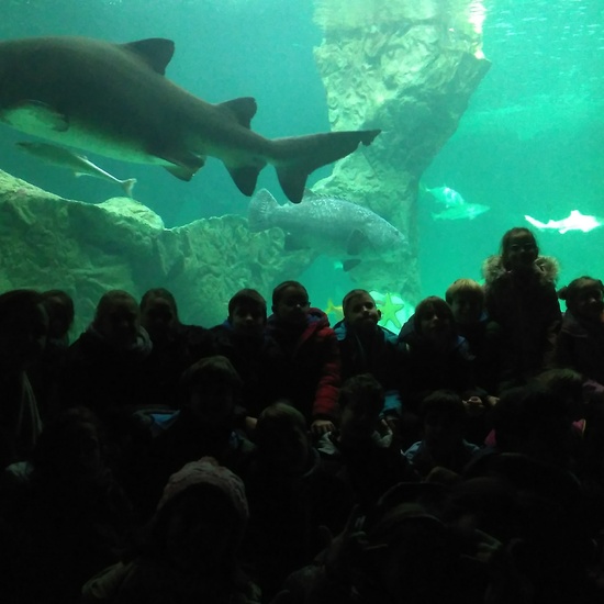 3ºE- Fotos Primer Trimestre 27