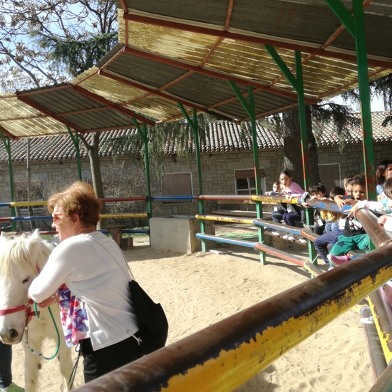 Infantil en la granja 17