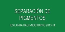 SEPARACIÓN PIGMENTOS FOTOSINTÉTICOS