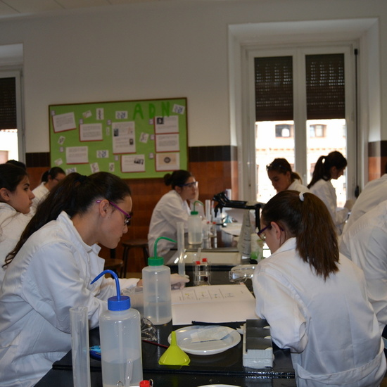 Proyecto de Aprendizaje y Servicio 44