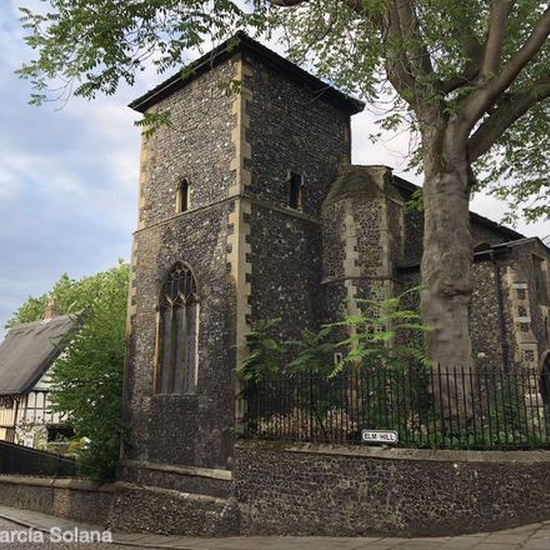 Norwich Agosto 2018 12