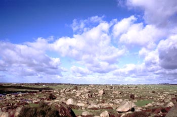 Paraje de Los Barruecos - Malpartida de Cáceres