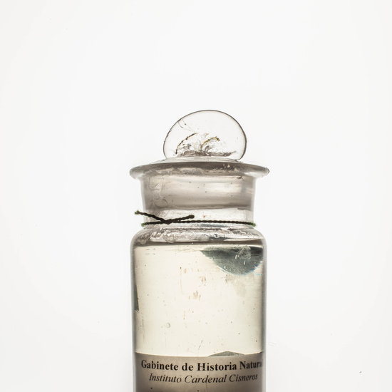 IES_CARDENALCISNEROS_CIENCIASNATURALES_093