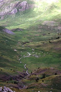 Ganado pastando en montaña