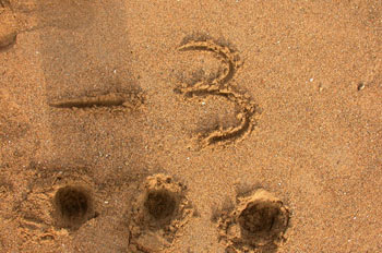 Número entero negativo