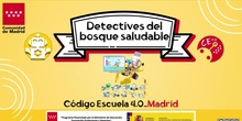 Detectives del bosque saludable