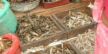 Venta de pescados secos, Katmandú, Nepal
