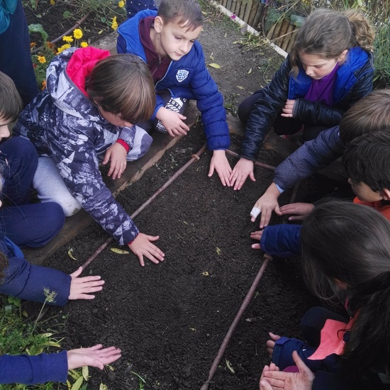 2019_05_El huerto del cole no para...CEIP FDLR_Las Rozas 22