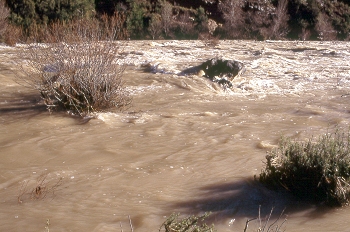 Zona de rápidos del río Alcanadre, Huesca