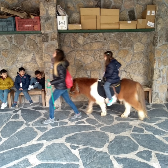 Granja de los Cuentos Infantiles II 17