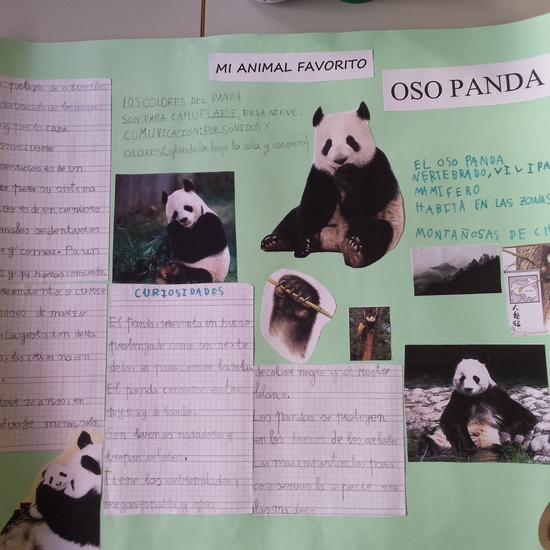 Exposición Toro, Mariposa y Oso Panda 9