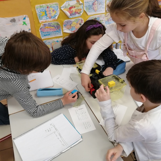 Medir y estimar masa 4