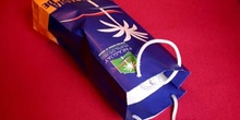Bolsa de papel