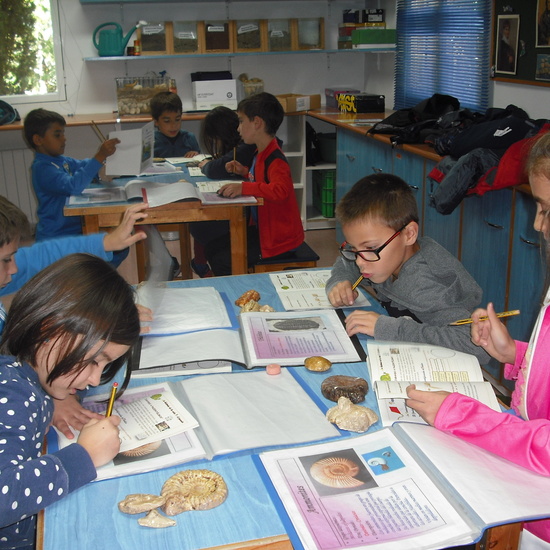 GRANJA PRIMERA PARTE 10